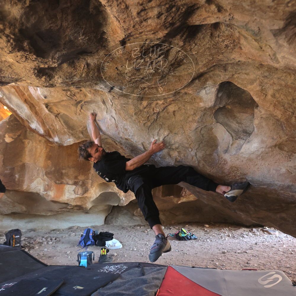 

Filename: SRM_20260307_1529360.jpg
Aperture: f/5.6
Shutter Speed: 1/400
Body: Canon EOS R6
Lens: Canon EF 16-35mm f/2.8 L