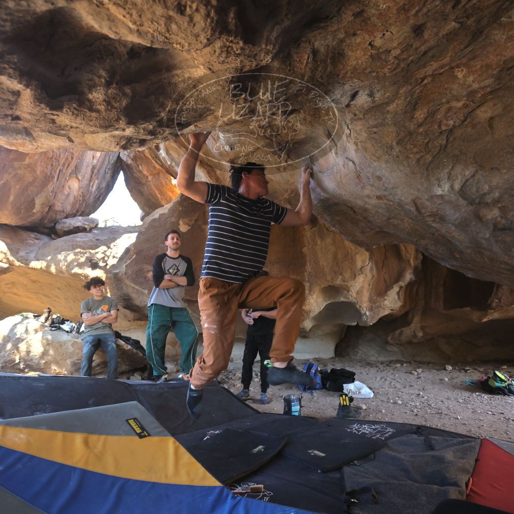 

Filename: SRM_20260307_1530431.jpg
Aperture: f/5.6
Shutter Speed: 1/400
Body: Canon EOS R6
Lens: Canon EF 16-35mm f/2.8 L