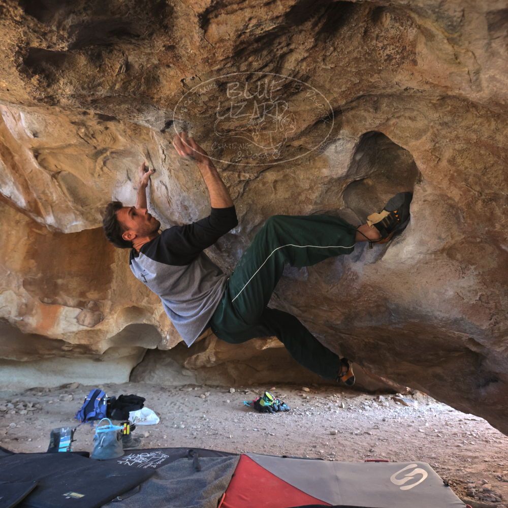 

Filename: SRM_20260307_1532280.jpg
Aperture: f/5.6
Shutter Speed: 1/400
Body: Canon EOS R6
Lens: Canon EF 16-35mm f/2.8 L