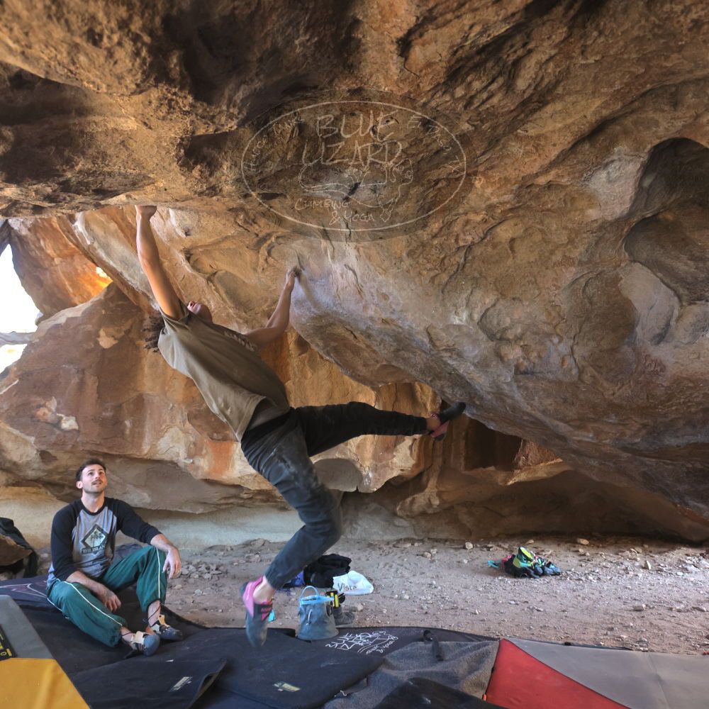 

Filename: SRM_20260307_1534141.jpg
Aperture: f/5.6
Shutter Speed: 1/400
Body: Canon EOS R6
Lens: Canon EF 16-35mm f/2.8 L