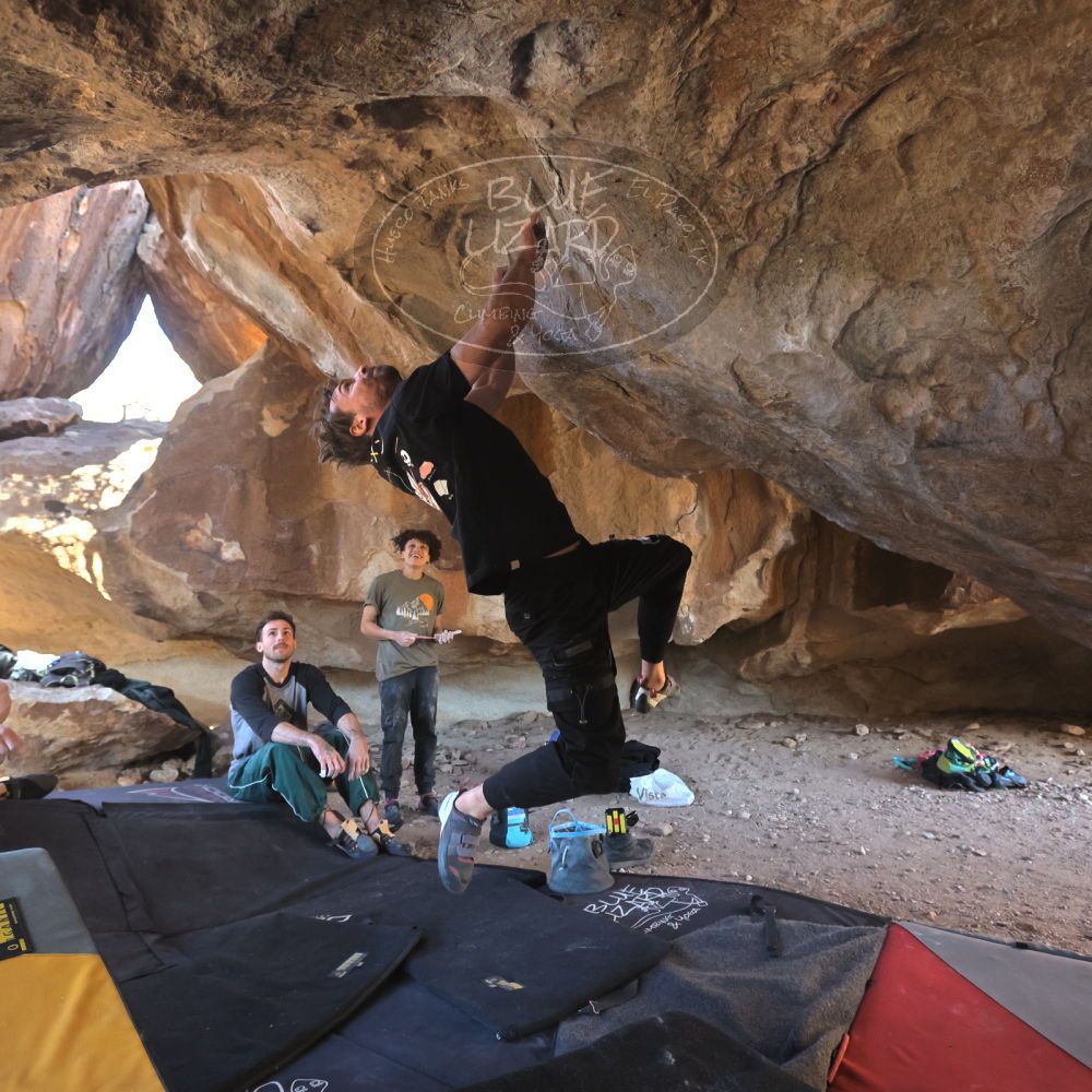 

Filename: SRM_20260307_1534380.jpg
Aperture: f/5.6
Shutter Speed: 1/400
Body: Canon EOS R6
Lens: Canon EF 16-35mm f/2.8 L