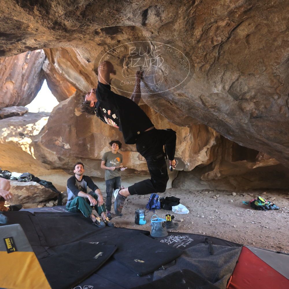 

Filename: SRM_20260307_1534381.jpg
Aperture: f/5.6
Shutter Speed: 1/400
Body: Canon EOS R6
Lens: Canon EF 16-35mm f/2.8 L