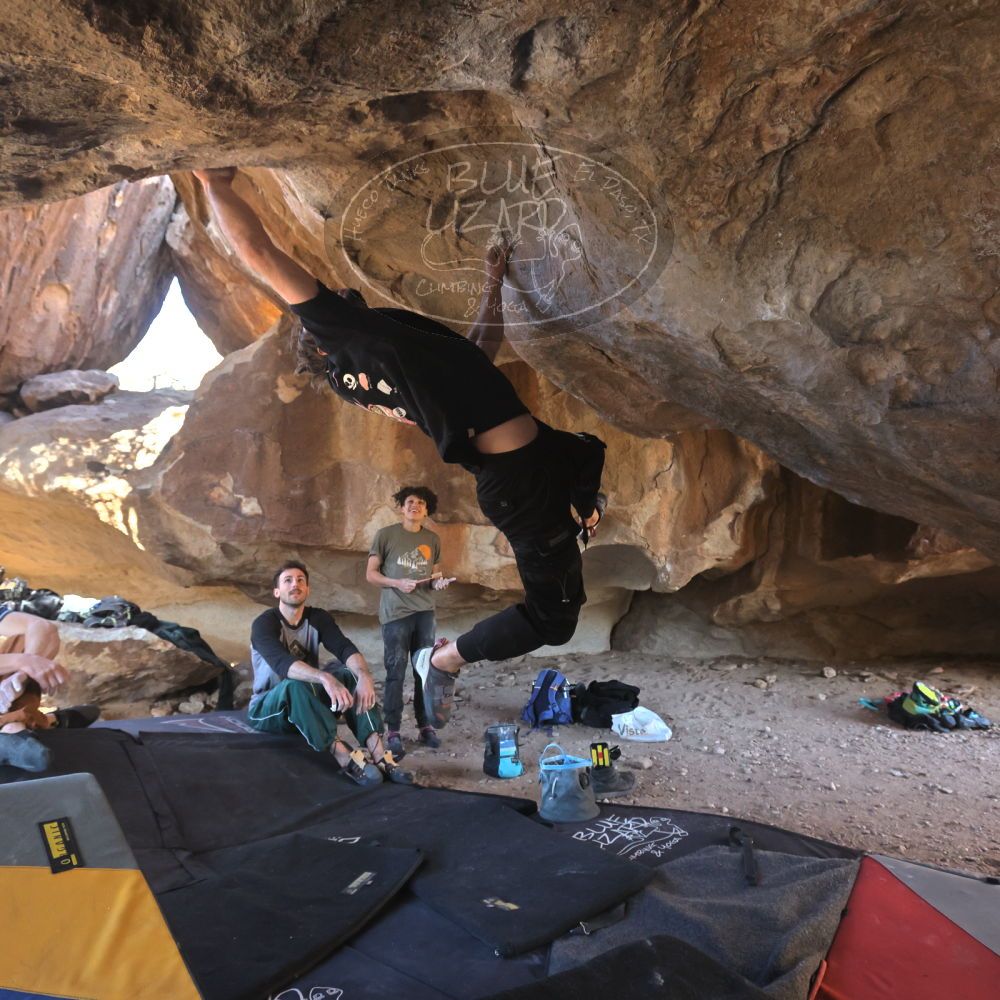 

Filename: SRM_20260307_1534382.jpg
Aperture: f/5.6
Shutter Speed: 1/400
Body: Canon EOS R6
Lens: Canon EF 16-35mm f/2.8 L