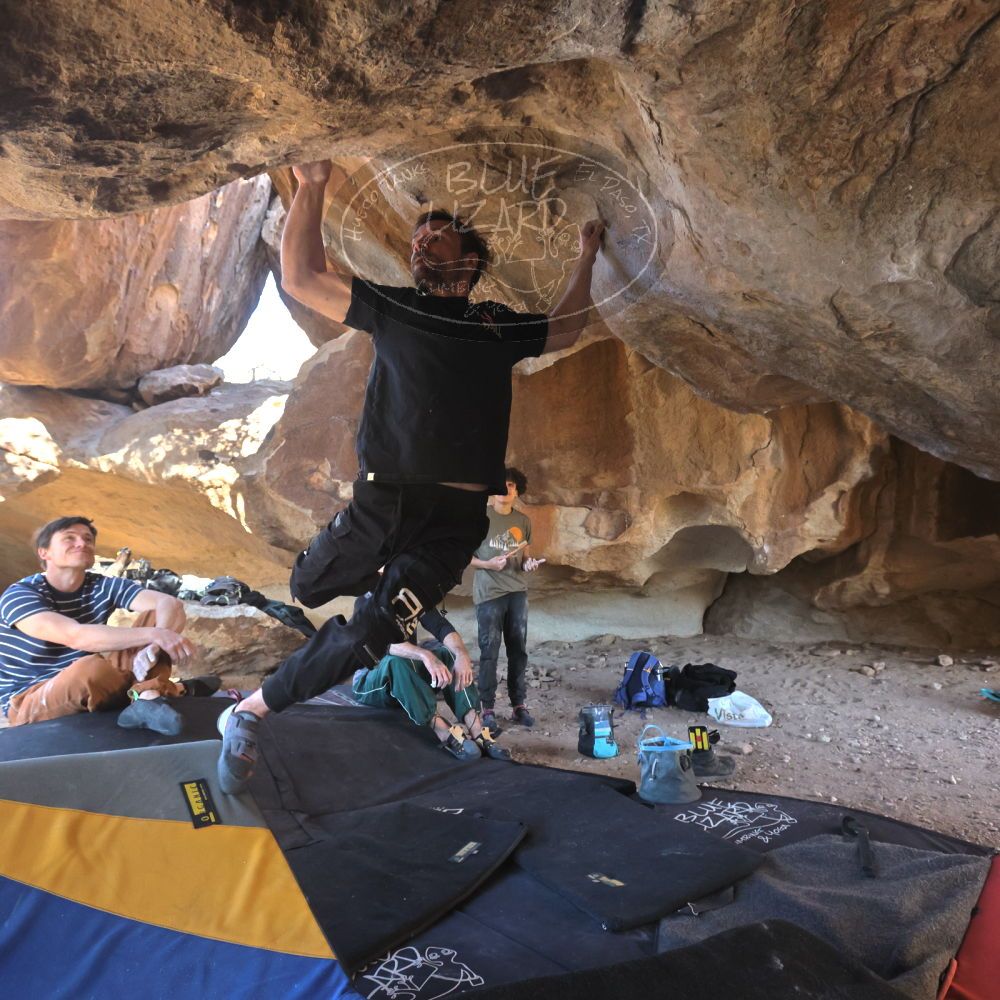 

Filename: SRM_20260307_1534392.jpg
Aperture: f/5.6
Shutter Speed: 1/400
Body: Canon EOS R6
Lens: Canon EF 16-35mm f/2.8 L