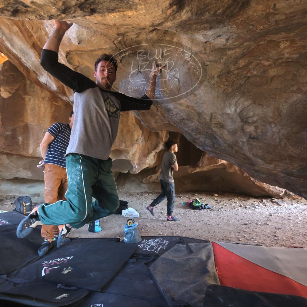 

Filename: SRM_20260307_1535341.jpg
Aperture: f/5.6
Shutter Speed: 1/400
Body: Canon EOS R6
Lens: Canon EF 16-35mm f/2.8 L