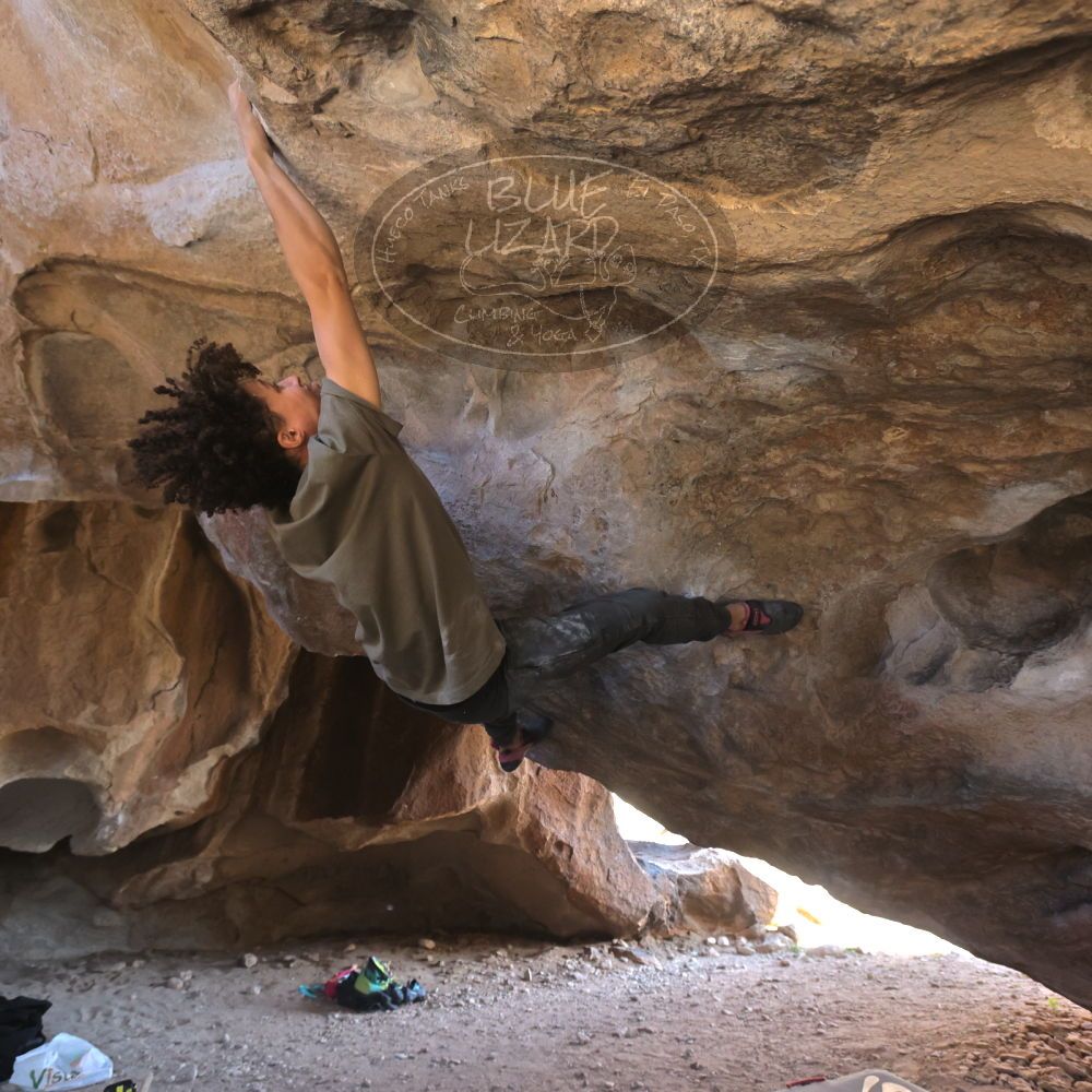 

Filename: SRM_20260307_1544171.jpg
Aperture: f/5.6
Shutter Speed: 1/400
Body: Canon EOS R6
Lens: Canon EF 16-35mm f/2.8 L