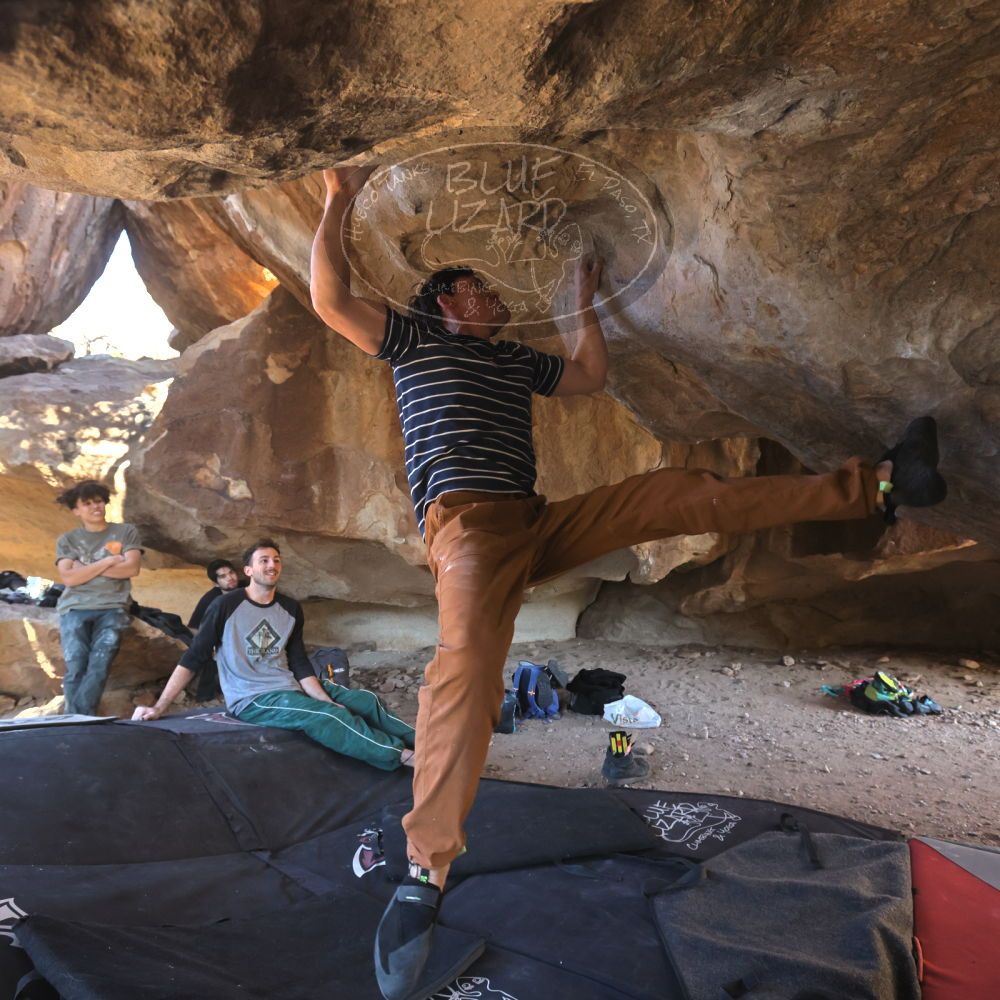 

Filename: SRM_20260307_1546061.jpg
Aperture: f/5.6
Shutter Speed: 1/400
Body: Canon EOS R6
Lens: Canon EF 16-35mm f/2.8 L