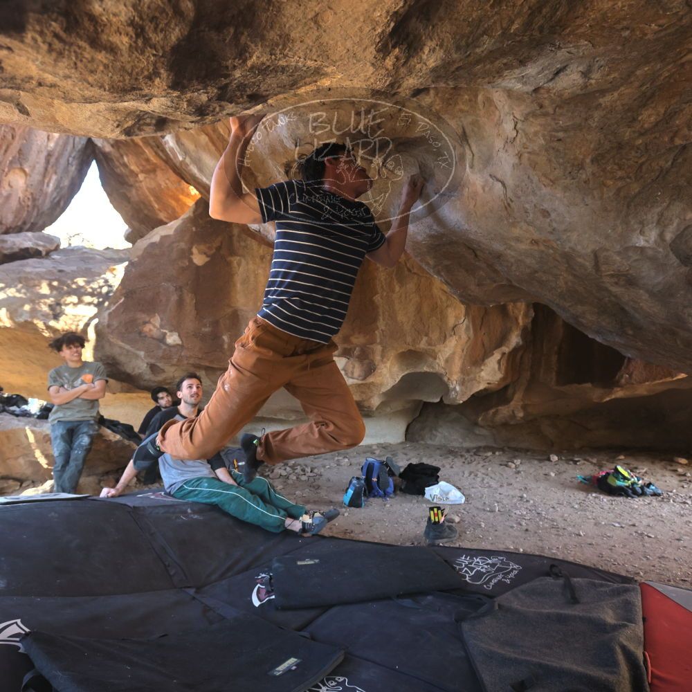 

Filename: SRM_20260307_1546070.jpg
Aperture: f/5.6
Shutter Speed: 1/400
Body: Canon EOS R6
Lens: Canon EF 16-35mm f/2.8 L