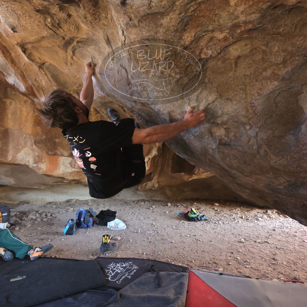 

Filename: SRM_20260307_1547240.jpg
Aperture: f/5.6
Shutter Speed: 1/400
Body: Canon EOS R6
Lens: Canon EF 16-35mm f/2.8 L