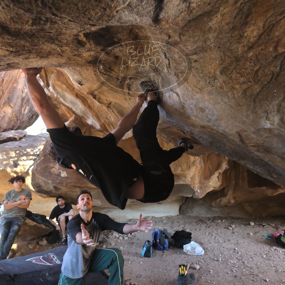 

Filename: SRM_20260307_1547290.jpg
Aperture: f/5.6
Shutter Speed: 1/400
Body: Canon EOS R6
Lens: Canon EF 16-35mm f/2.8 L