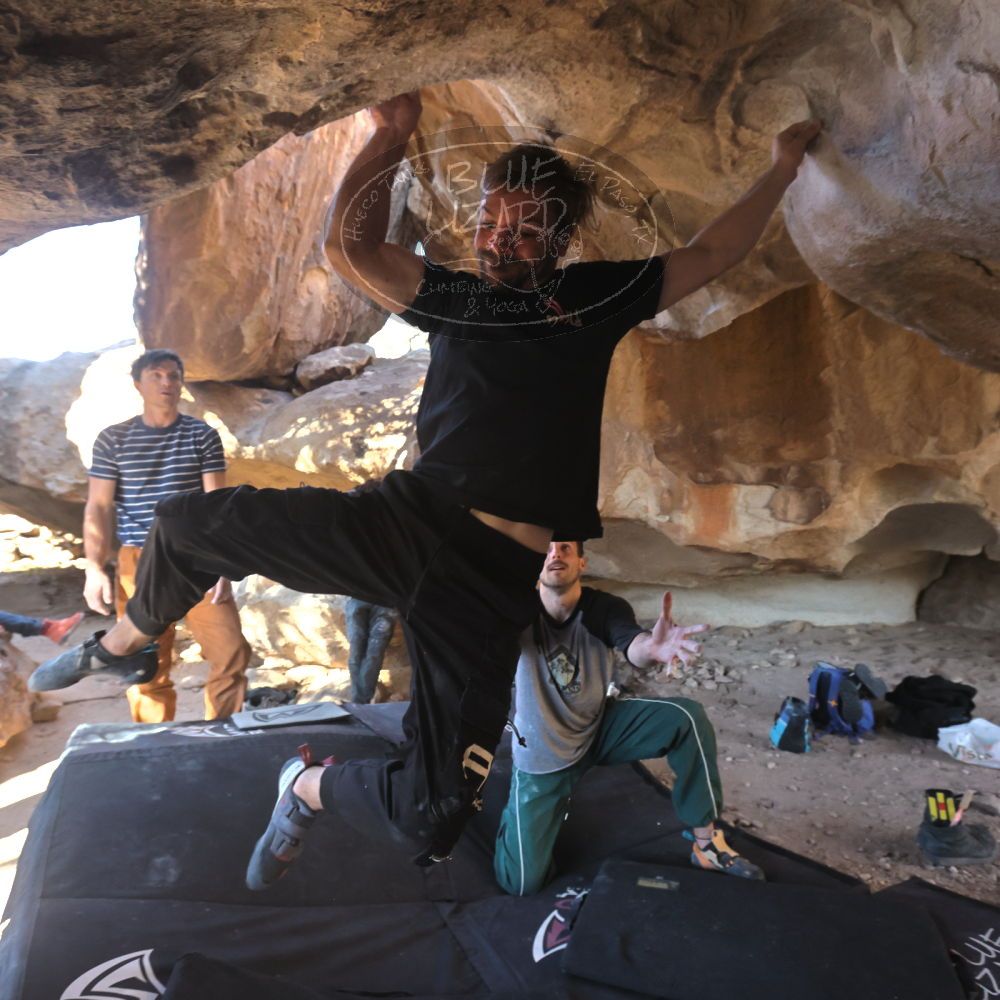 

Filename: SRM_20260307_1547300.jpg
Aperture: f/5.6
Shutter Speed: 1/400
Body: Canon EOS R6
Lens: Canon EF 16-35mm f/2.8 L