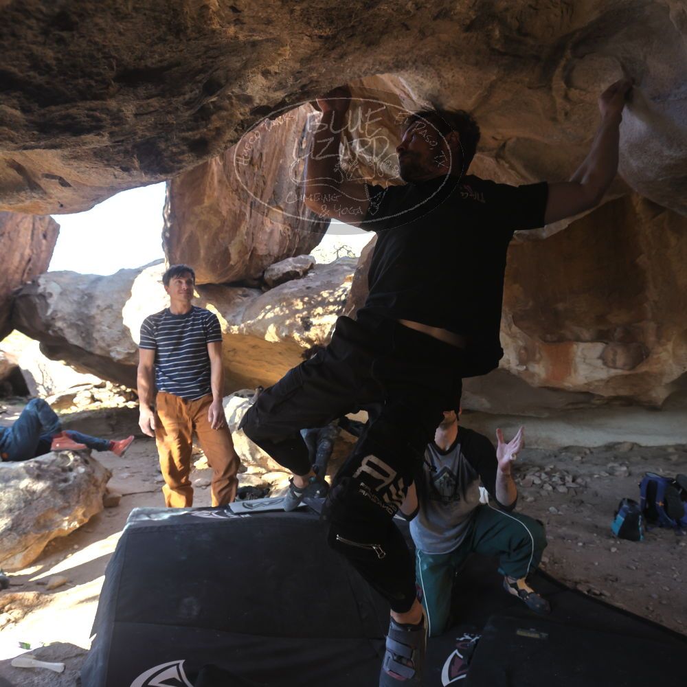 

Filename: SRM_20260307_1547303.jpg
Aperture: f/5.6
Shutter Speed: 1/400
Body: Canon EOS R6
Lens: Canon EF 16-35mm f/2.8 L