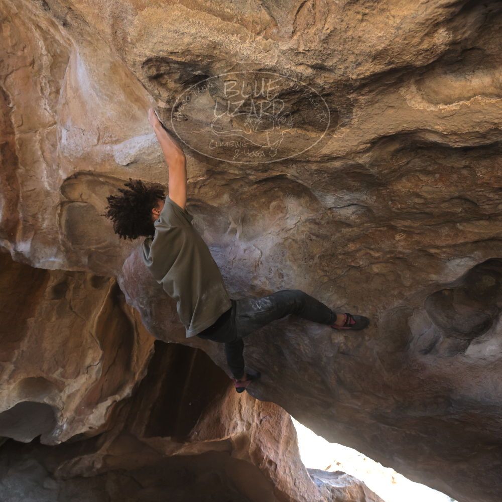 

Filename: SRM_20260307_1550320.jpg
Aperture: f/5.6
Shutter Speed: 1/400
Body: Canon EOS R6
Lens: Canon EF 16-35mm f/2.8 L