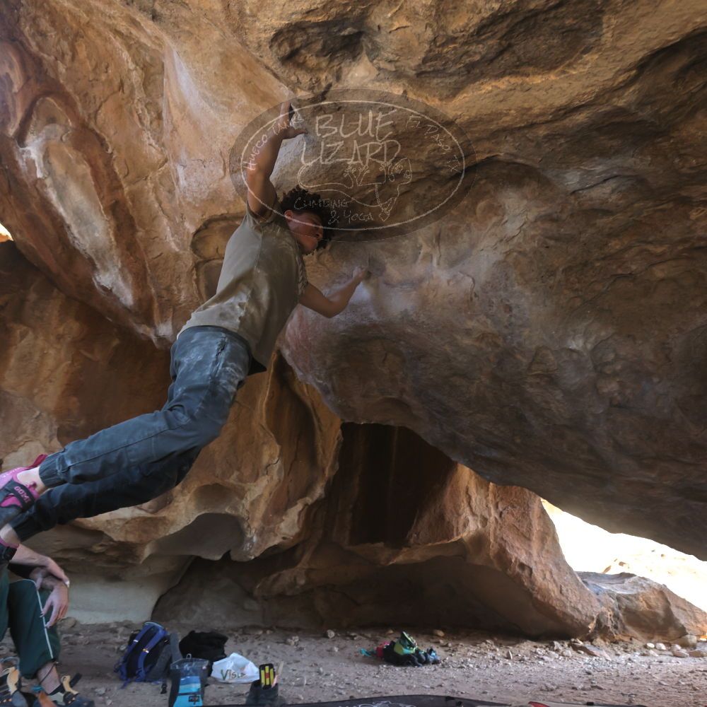 

Filename: SRM_20260307_1550350.jpg
Aperture: f/5.6
Shutter Speed: 1/400
Body: Canon EOS R6
Lens: Canon EF 16-35mm f/2.8 L