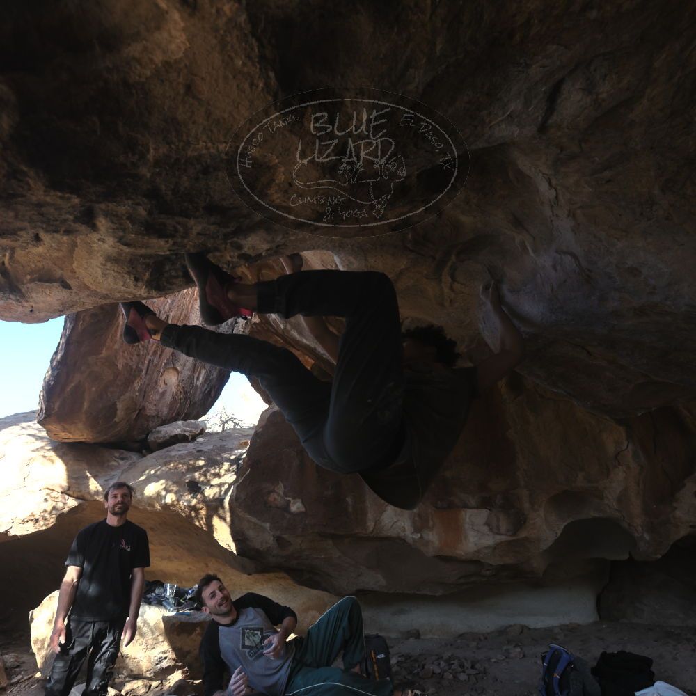 

Filename: SRM_20260307_1553420.jpg
Aperture: f/5.6
Shutter Speed: 1/400
Body: Canon EOS R6
Lens: Canon EF 16-35mm f/2.8 L