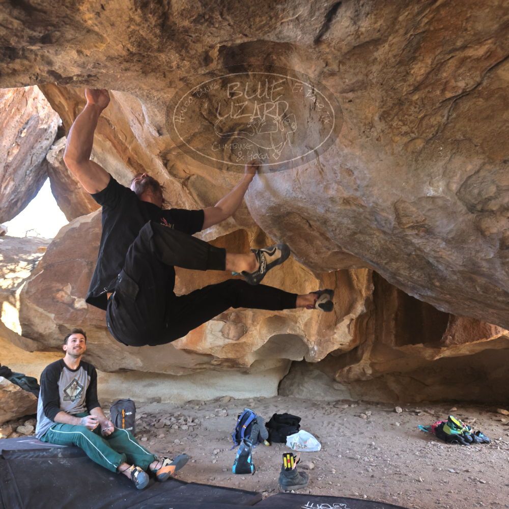 

Filename: SRM_20260307_1554311.jpg
Aperture: f/5.6
Shutter Speed: 1/400
Body: Canon EOS R6
Lens: Canon EF 16-35mm f/2.8 L