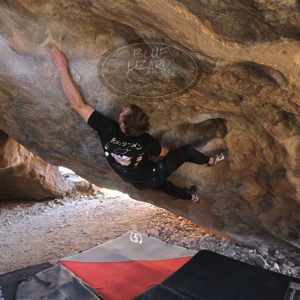 

Filename: SRM_20260307_1606290.jpg
Aperture: f/5.6
Shutter Speed: 1/400
Body: Canon EOS R6
Lens: Canon EF 16-35mm f/2.8 L