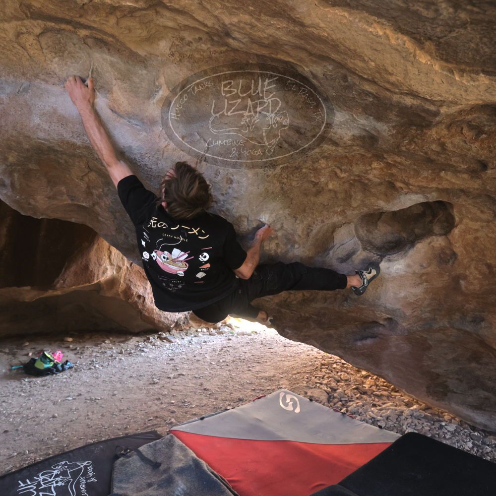 

Filename: SRM_20260307_1606360.jpg
Aperture: f/5.6
Shutter Speed: 1/400
Body: Canon EOS R6
Lens: Canon EF 16-35mm f/2.8 L