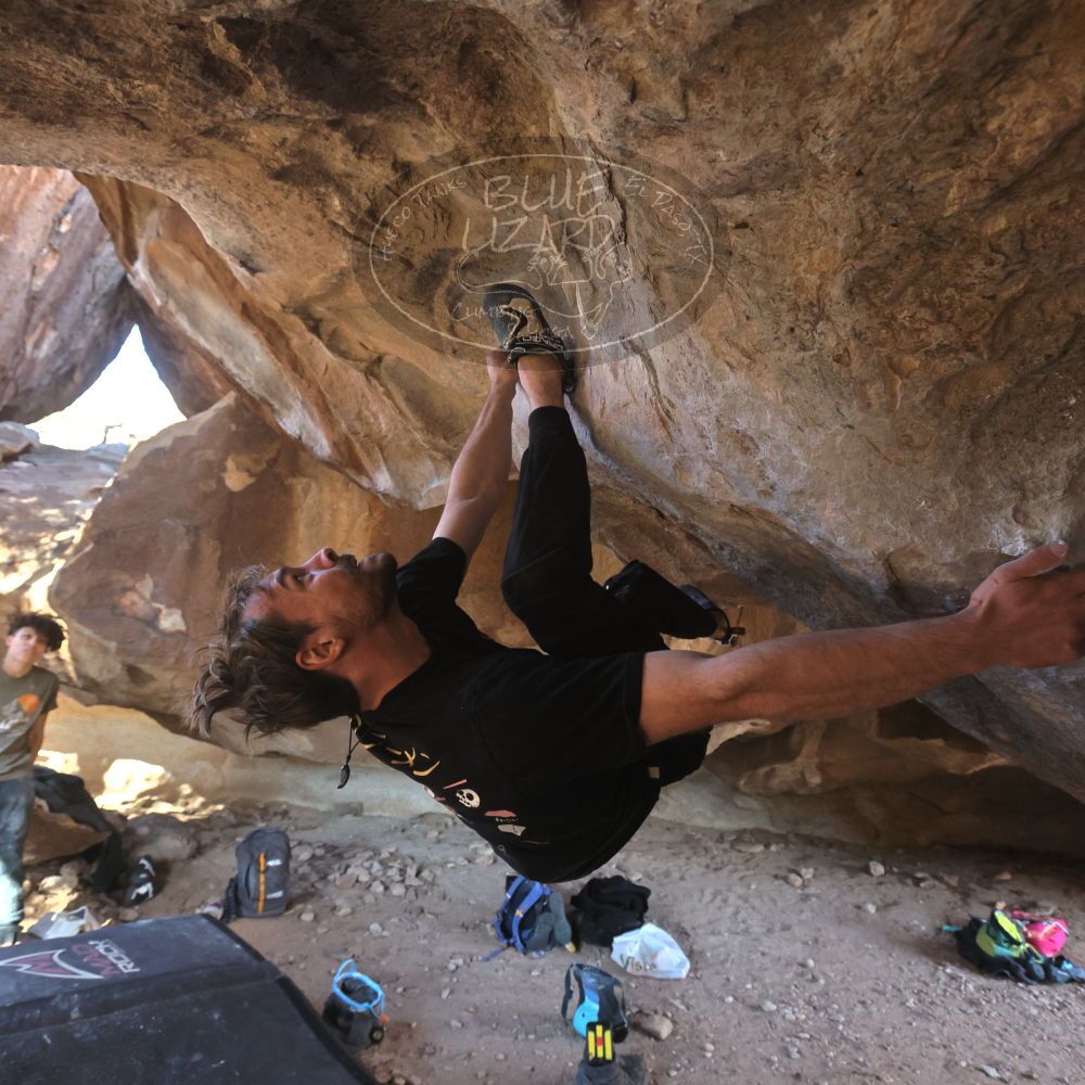 

Filename: SRM_20260307_1606430.jpg
Aperture: f/5.6
Shutter Speed: 1/400
Body: Canon EOS R6
Lens: Canon EF 16-35mm f/2.8 L