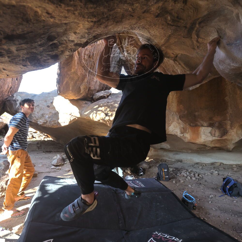 

Filename: SRM_20260307_1606452.jpg
Aperture: f/5.6
Shutter Speed: 1/400
Body: Canon EOS R6
Lens: Canon EF 16-35mm f/2.8 L