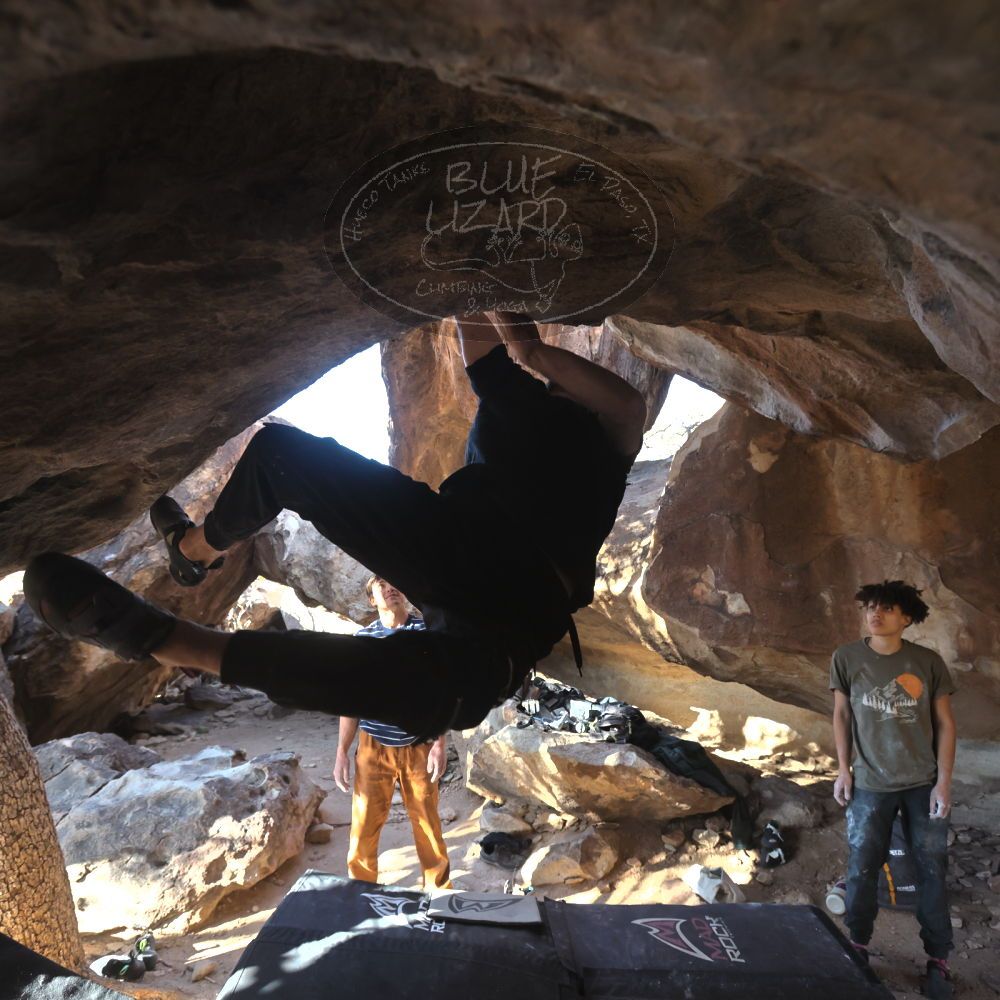 

Filename: SRM_20260307_1606590.jpg
Aperture: f/5.6
Shutter Speed: 1/400
Body: Canon EOS R6
Lens: Canon EF 16-35mm f/2.8 L