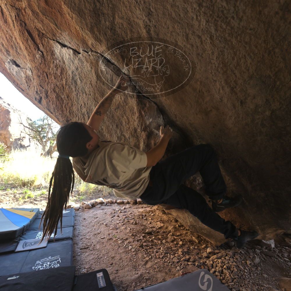 

Filename: SRM_20260307_1637380.jpg
Aperture: f/5.6
Shutter Speed: 1/400
Body: Canon EOS R6
Lens: Canon EF 16-35mm f/2.8 L