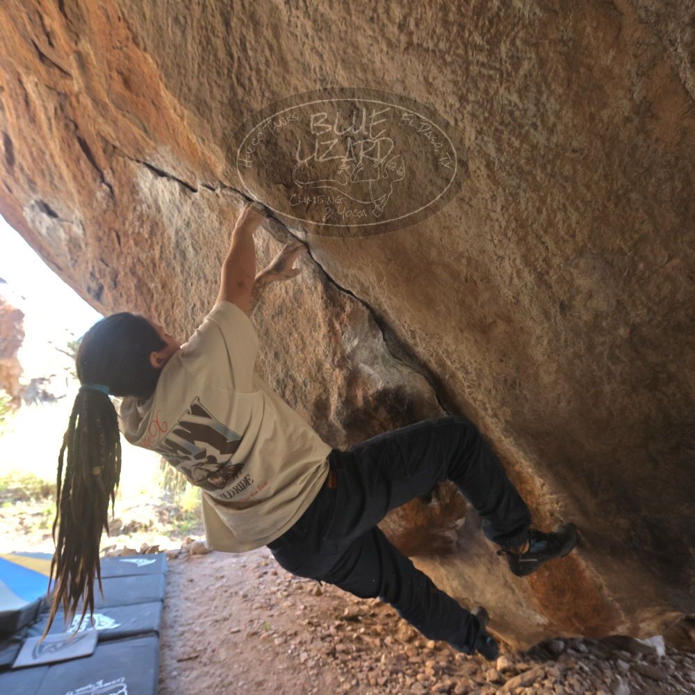 

Filename: SRM_20260307_1637390.jpg
Aperture: f/5.6
Shutter Speed: 1/400
Body: Canon EOS R6
Lens: Canon EF 16-35mm f/2.8 L