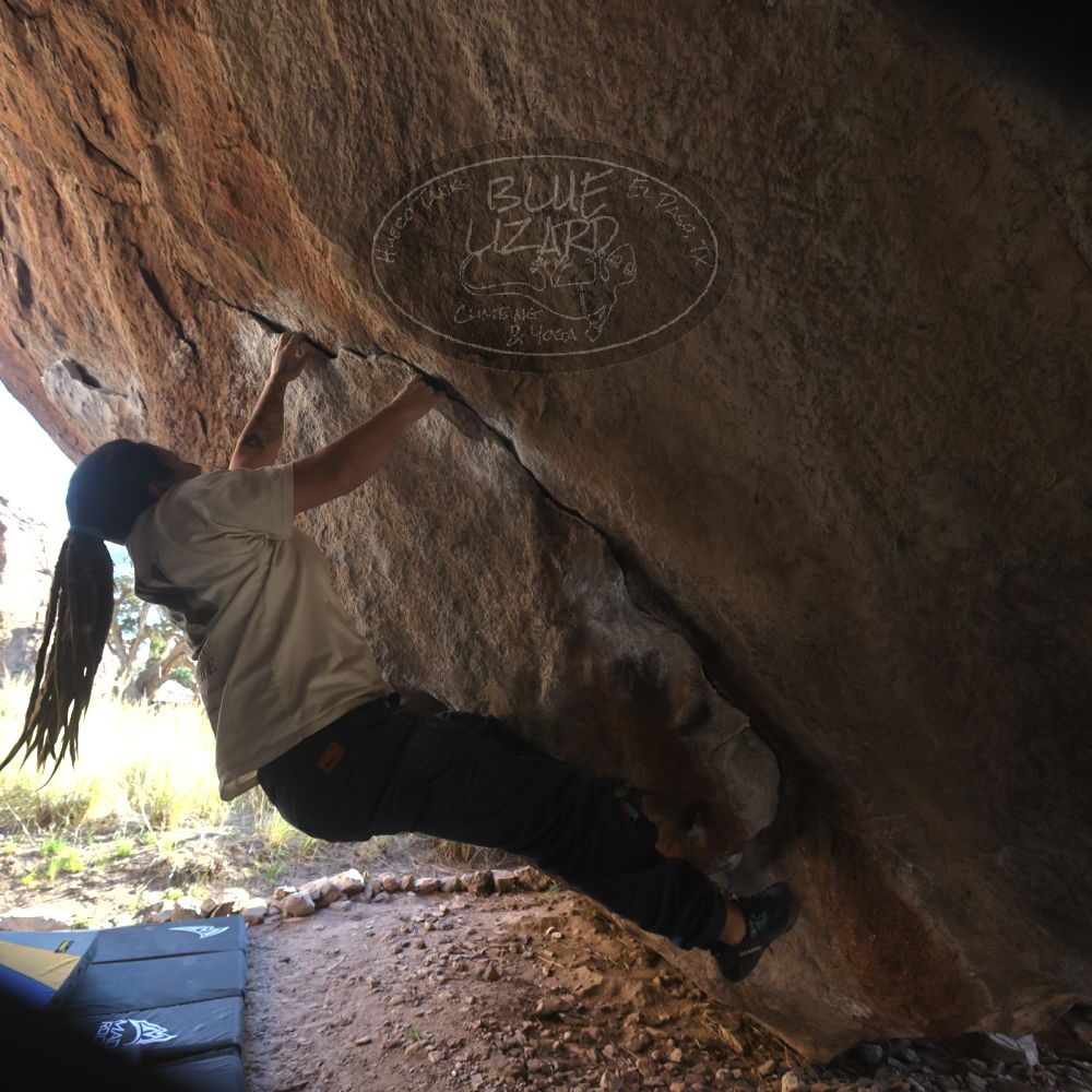 

Filename: SRM_20260307_1639580.jpg
Aperture: f/5.6
Shutter Speed: 1/400
Body: Canon EOS R6
Lens: Canon EF 16-35mm f/2.8 L