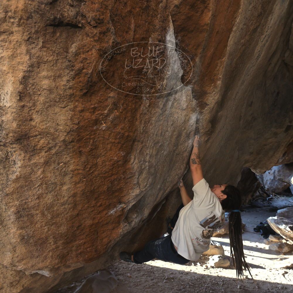 

Filename: SRM_20260307_1644500.jpg
Aperture: f/5.6
Shutter Speed: 1/400
Body: Canon EOS R6
Lens: Canon EF 16-35mm f/2.8 L