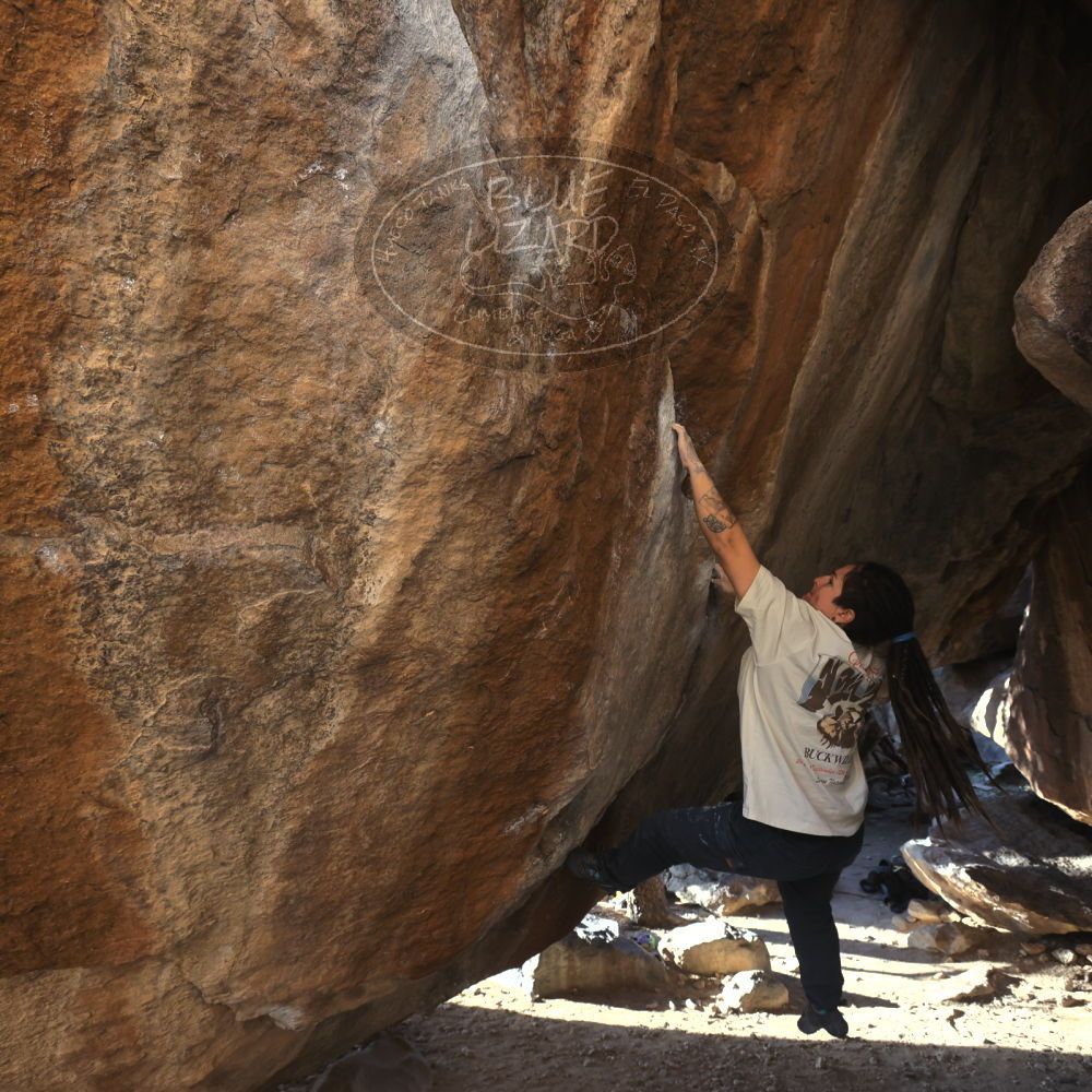 

Filename: SRM_20260307_1644560.jpg
Aperture: f/5.6
Shutter Speed: 1/400
Body: Canon EOS R6
Lens: Canon EF 16-35mm f/2.8 L