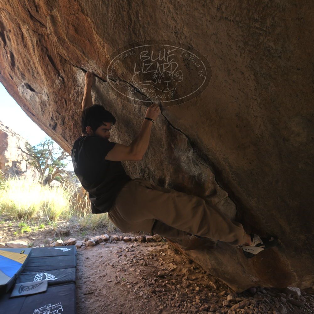 

Filename: SRM_20260307_1655250.jpg
Aperture: f/5.6
Shutter Speed: 1/400
Body: Canon EOS R6
Lens: Canon EF 16-35mm f/2.8 L