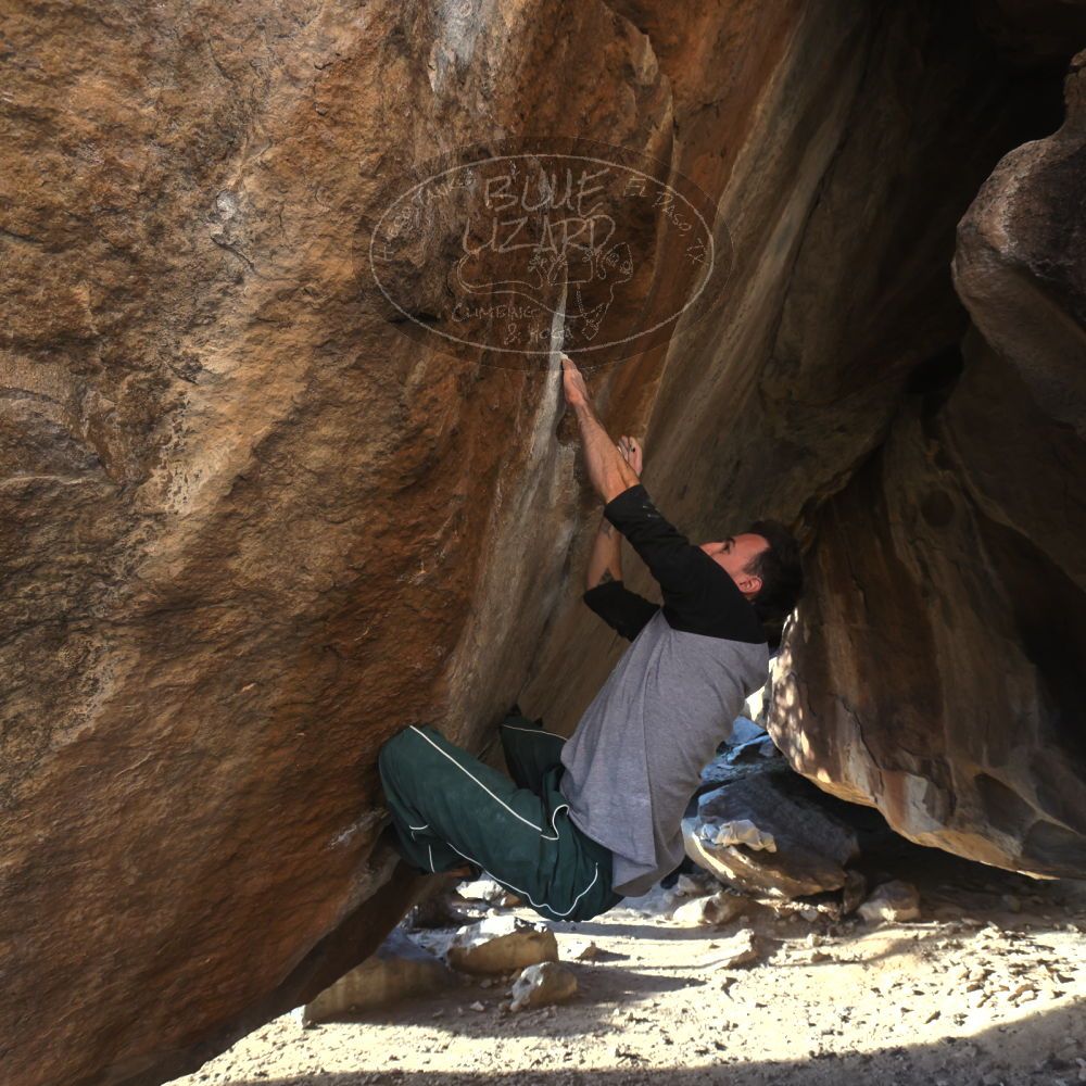 

Filename: SRM_20260307_1703501.jpg
Aperture: f/5.6
Shutter Speed: 1/400
Body: Canon EOS R6
Lens: Canon EF 16-35mm f/2.8 L