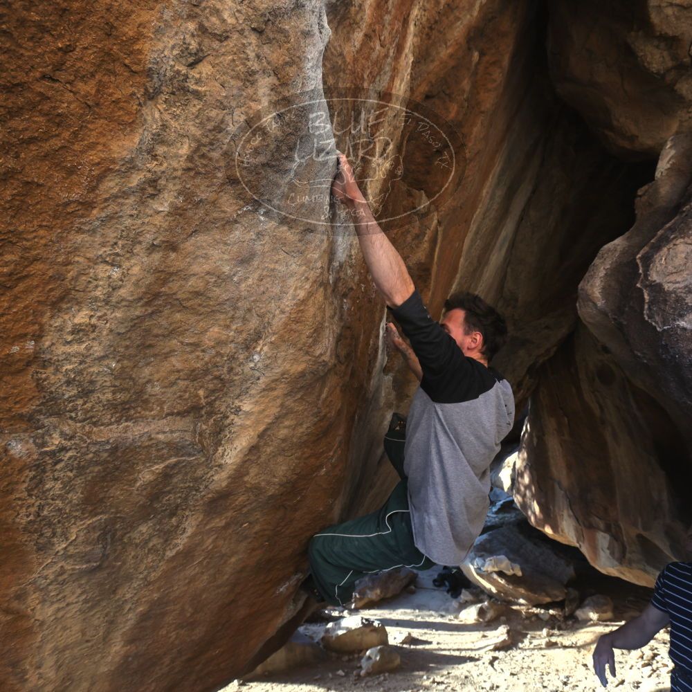 

Filename: SRM_20260307_1703570.jpg
Aperture: f/5.6
Shutter Speed: 1/400
Body: Canon EOS R6
Lens: Canon EF 16-35mm f/2.8 L