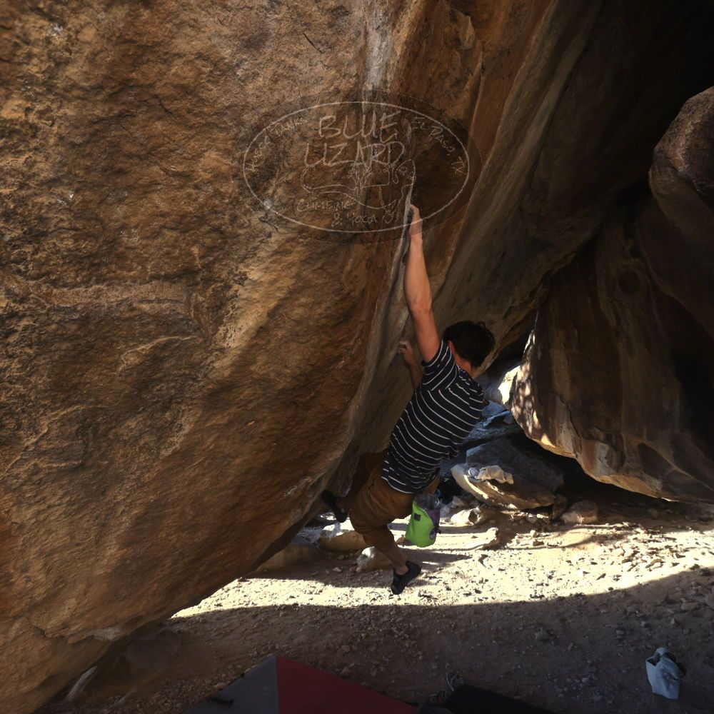 

Filename: SRM_20260307_1705230.jpg
Aperture: f/5.6
Shutter Speed: 1/400
Body: Canon EOS R6
Lens: Canon EF 16-35mm f/2.8 L