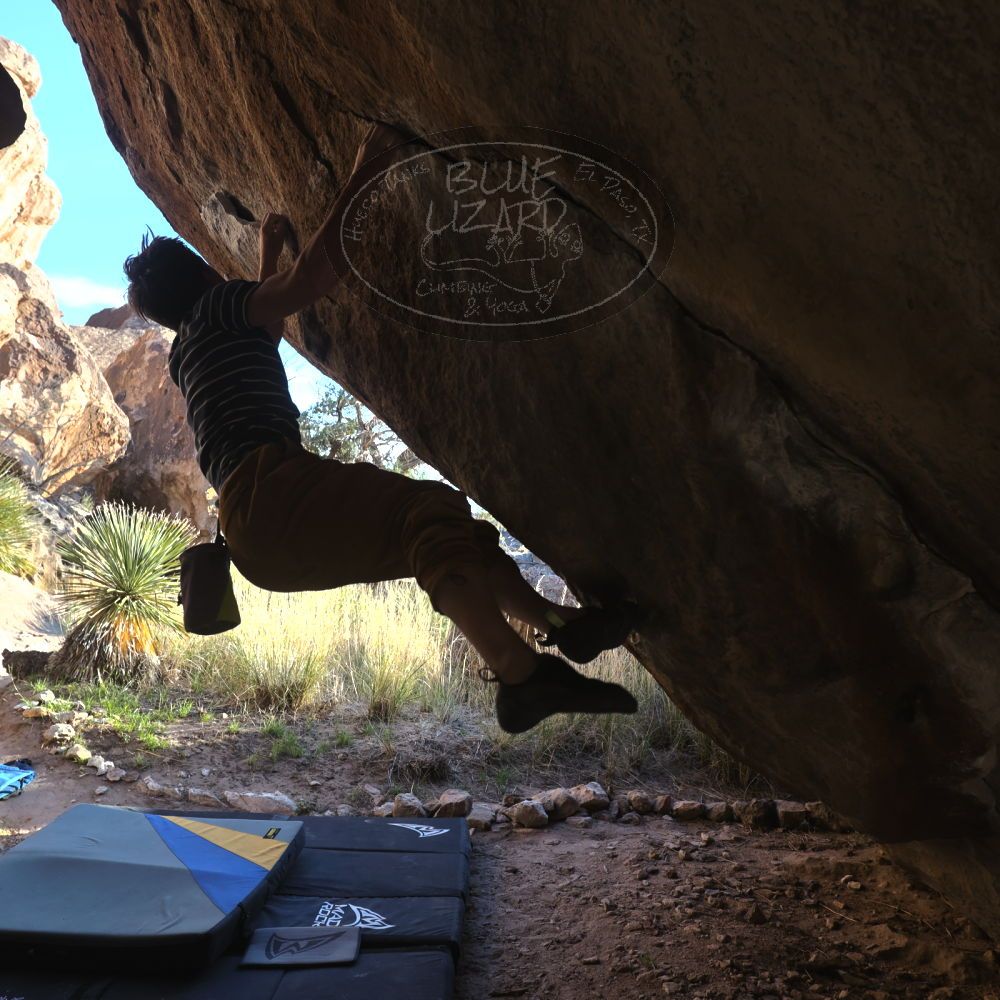 

Filename: SRM_20260307_1710080.jpg
Aperture: f/5.6
Shutter Speed: 1/400
Body: Canon EOS R6
Lens: Canon EF 16-35mm f/2.8 L