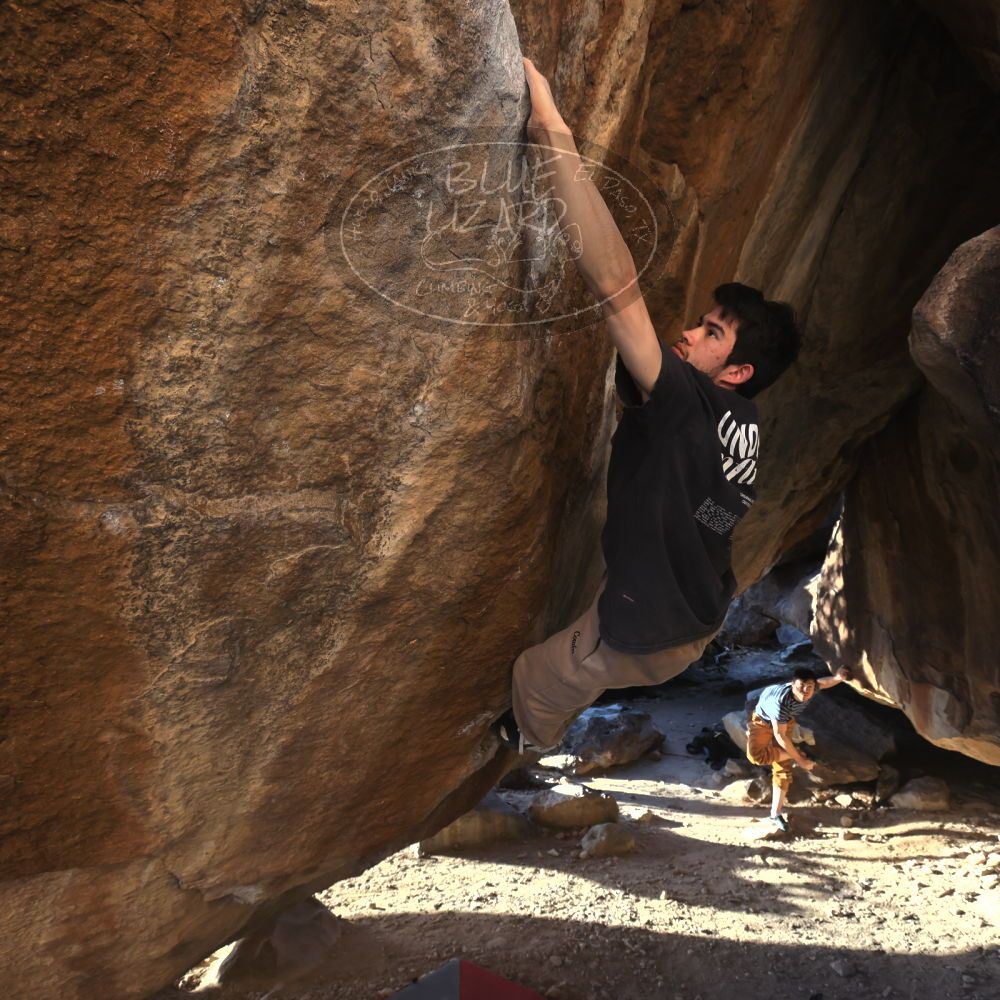 

Filename: SRM_20260307_1715090.jpg
Aperture: f/5.6
Shutter Speed: 1/400
Body: Canon EOS R6
Lens: Canon EF 16-35mm f/2.8 L