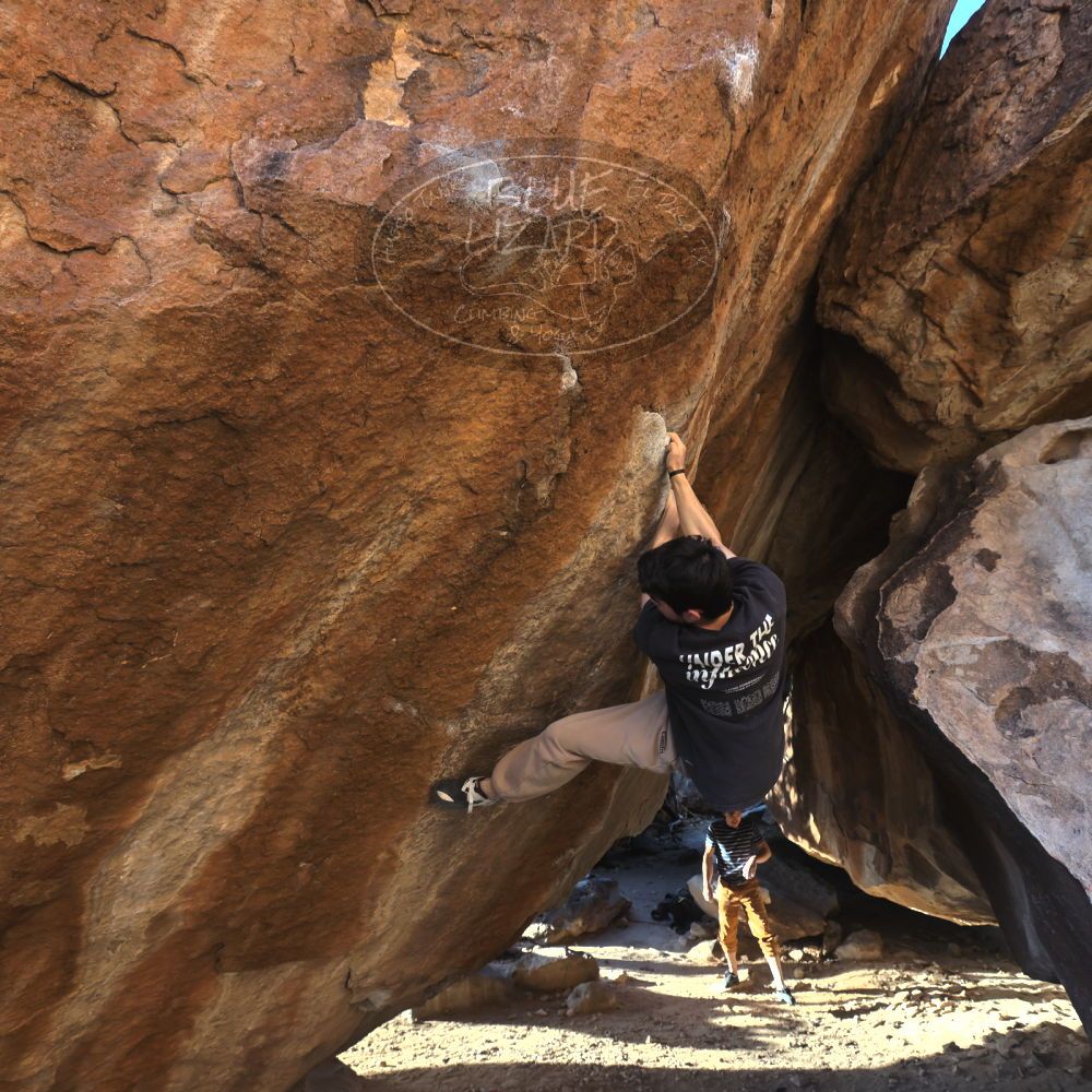 

Filename: SRM_20260307_1715220.jpg
Aperture: f/5.6
Shutter Speed: 1/400
Body: Canon EOS R6
Lens: Canon EF 16-35mm f/2.8 L