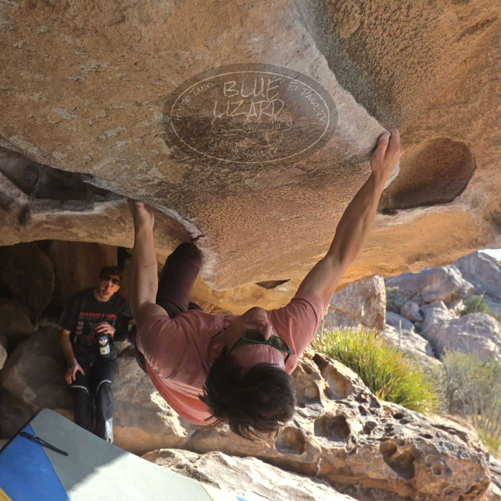 

Filename: SRM_20260308_0836000.jpg
Aperture: f/5.6
Shutter Speed: 1/500
Body: Canon EOS R6
Lens: Canon EF 16-35mm f/2.8 L