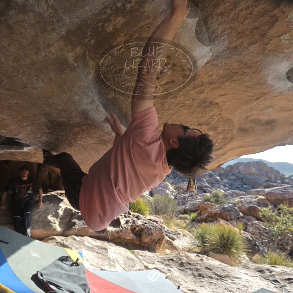 

Filename: SRM_20260308_0836170.jpg
Aperture: f/5.6
Shutter Speed: 1/500
Body: Canon EOS R6
Lens: Canon EF 16-35mm f/2.8 L