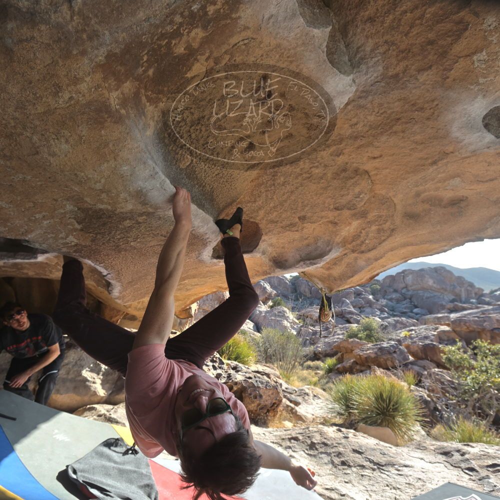 

Filename: SRM_20260308_0836220.jpg
Aperture: f/5.6
Shutter Speed: 1/500
Body: Canon EOS R6
Lens: Canon EF 16-35mm f/2.8 L