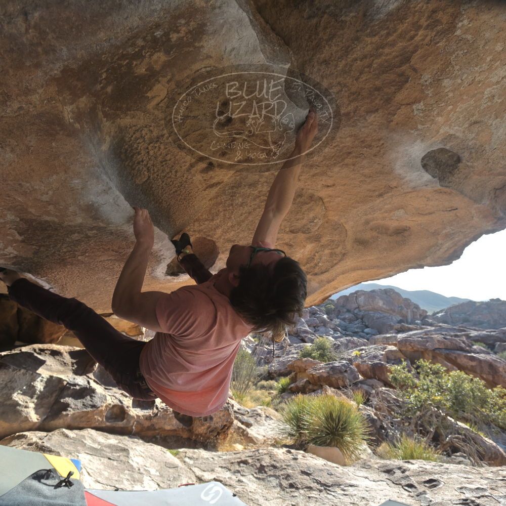 

Filename: SRM_20260308_0836330.jpg
Aperture: f/5.6
Shutter Speed: 1/500
Body: Canon EOS R6
Lens: Canon EF 16-35mm f/2.8 L