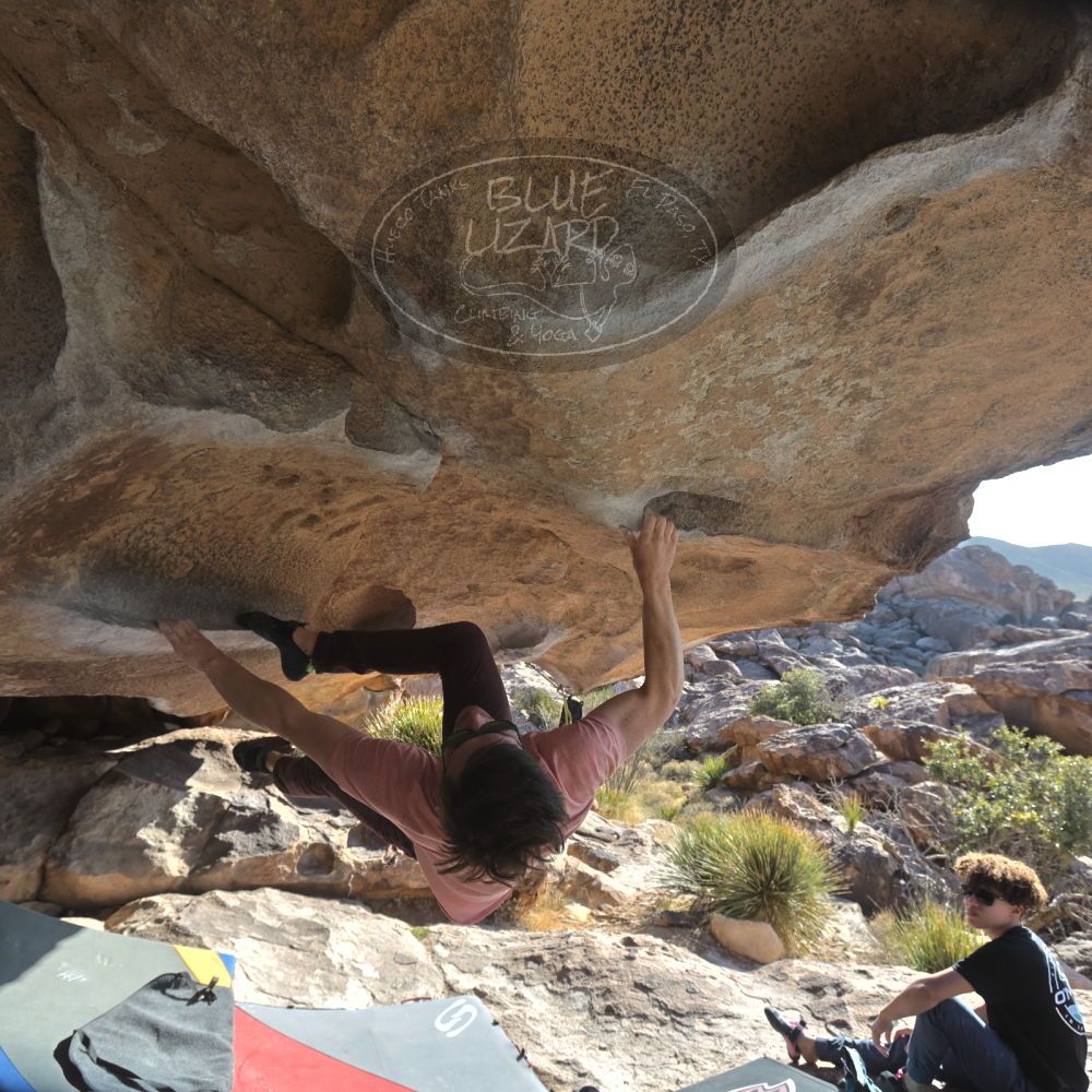 

Filename: SRM_20260308_0843210.jpg
Aperture: f/5.6
Shutter Speed: 1/500
Body: Canon EOS R6
Lens: Canon EF 16-35mm f/2.8 L