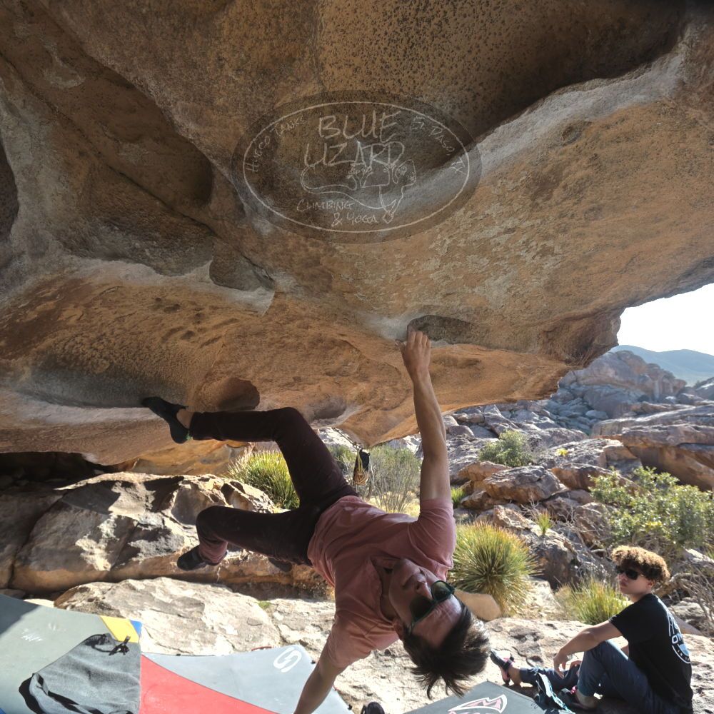 

Filename: SRM_20260308_0843230.jpg
Aperture: f/5.6
Shutter Speed: 1/500
Body: Canon EOS R6
Lens: Canon EF 16-35mm f/2.8 L