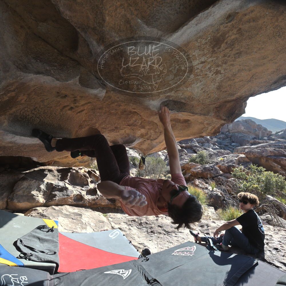 

Filename: SRM_20260308_0843240.jpg
Aperture: f/5.6
Shutter Speed: 1/500
Body: Canon EOS R6
Lens: Canon EF 16-35mm f/2.8 L