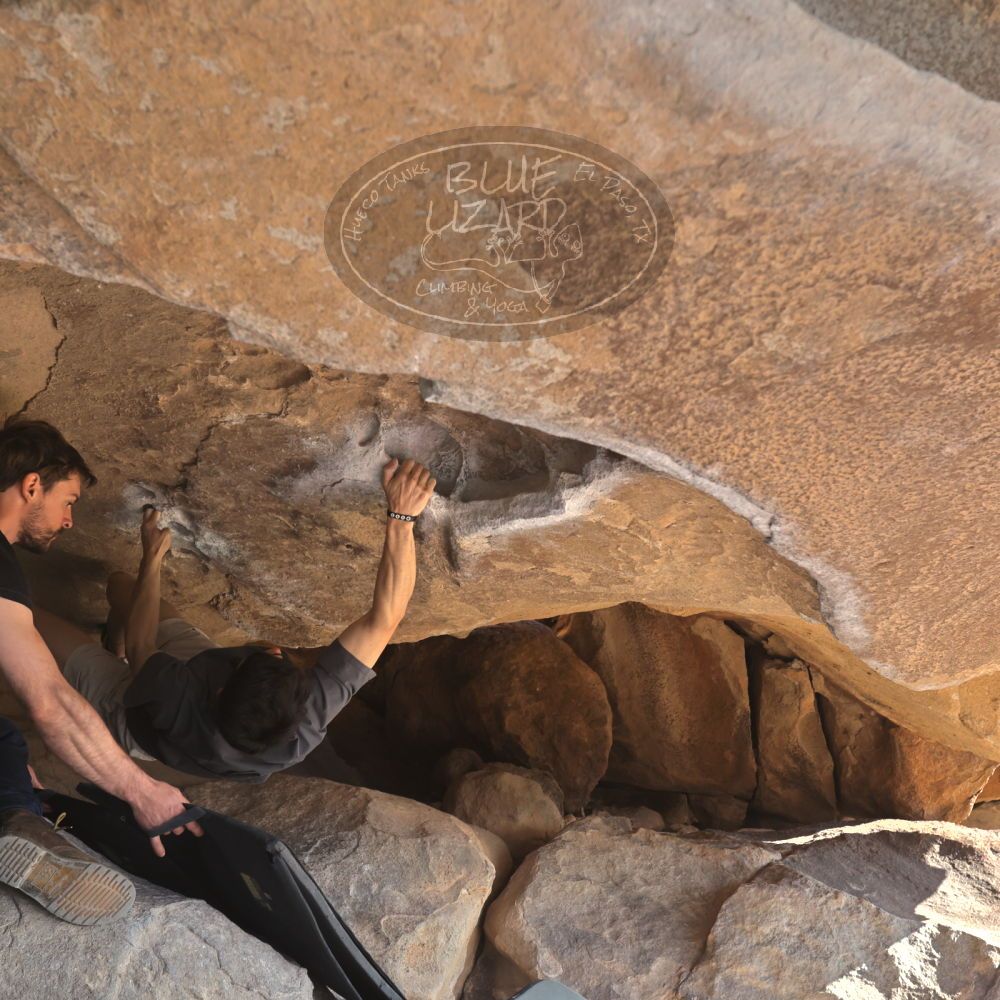 

Filename: SRM_20260308_0846440.jpg
Aperture: f/5.6
Shutter Speed: 1/500
Body: Canon EOS R6
Lens: Canon EF 16-35mm f/2.8 L