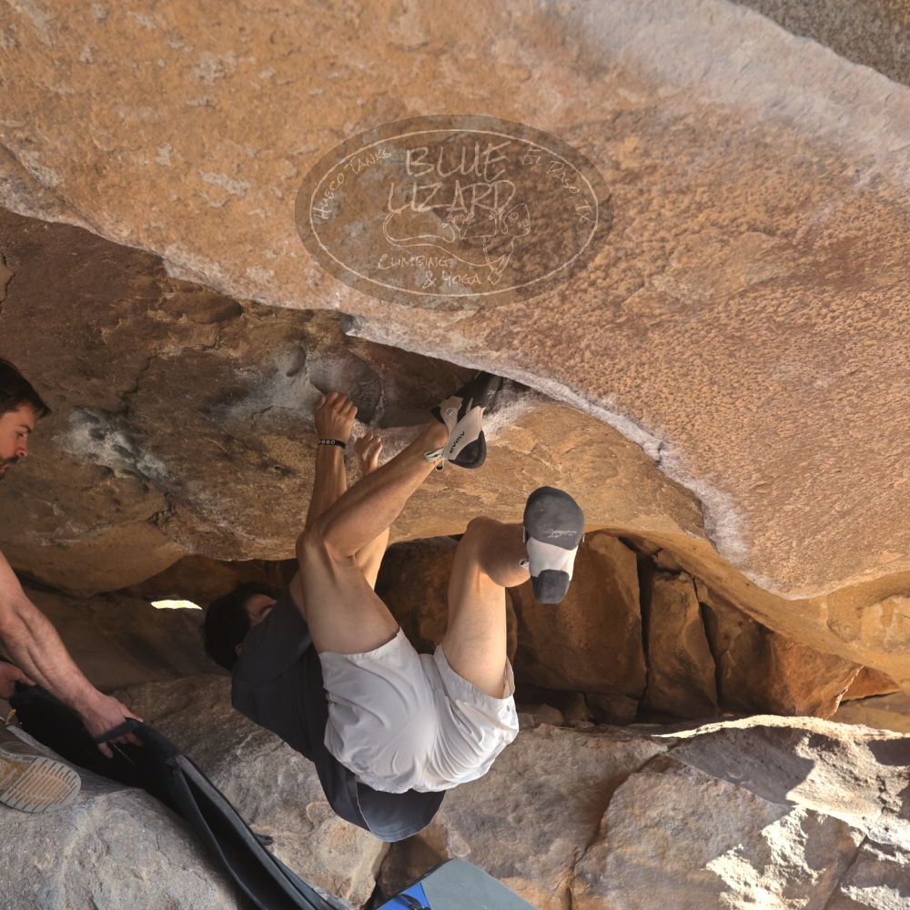 

Filename: SRM_20260308_0846460.jpg
Aperture: f/5.6
Shutter Speed: 1/500
Body: Canon EOS R6
Lens: Canon EF 16-35mm f/2.8 L