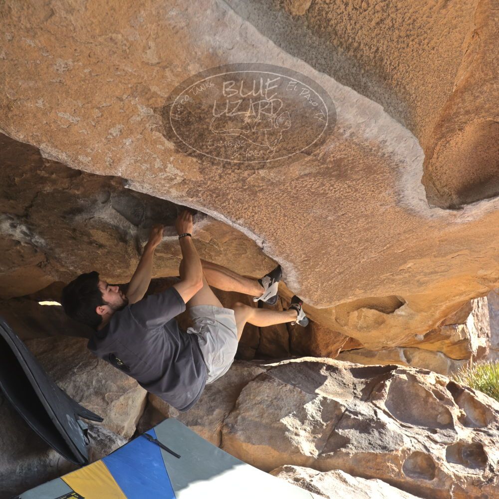 

Filename: SRM_20260308_0846480.jpg
Aperture: f/5.6
Shutter Speed: 1/500
Body: Canon EOS R6
Lens: Canon EF 16-35mm f/2.8 L