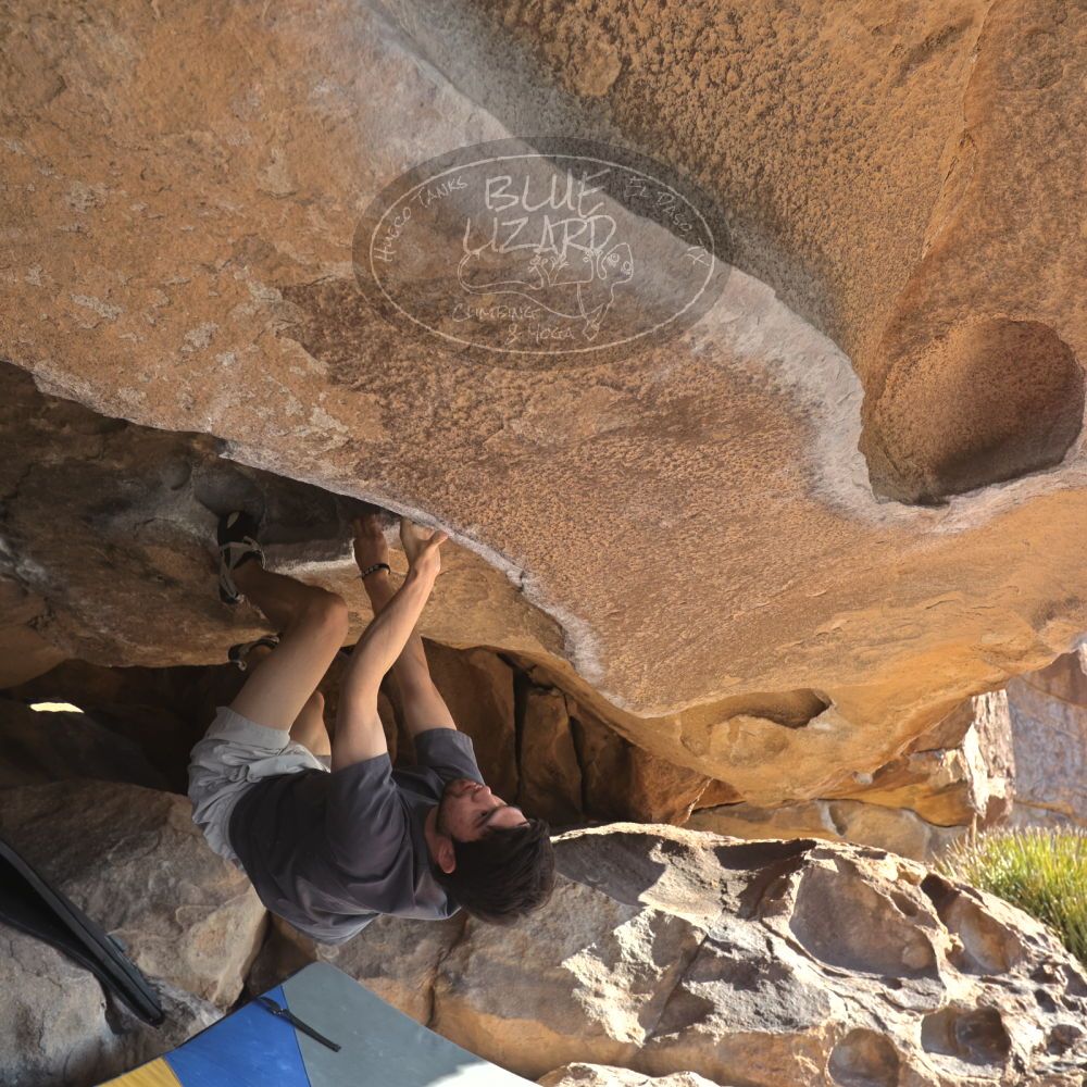 

Filename: SRM_20260308_0846540.jpg
Aperture: f/5.6
Shutter Speed: 1/500
Body: Canon EOS R6
Lens: Canon EF 16-35mm f/2.8 L