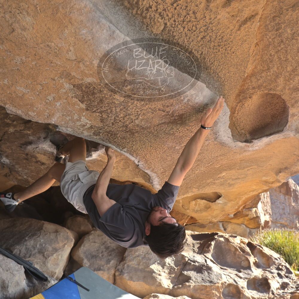 

Filename: SRM_20260308_0846560.jpg
Aperture: f/5.6
Shutter Speed: 1/500
Body: Canon EOS R6
Lens: Canon EF 16-35mm f/2.8 L