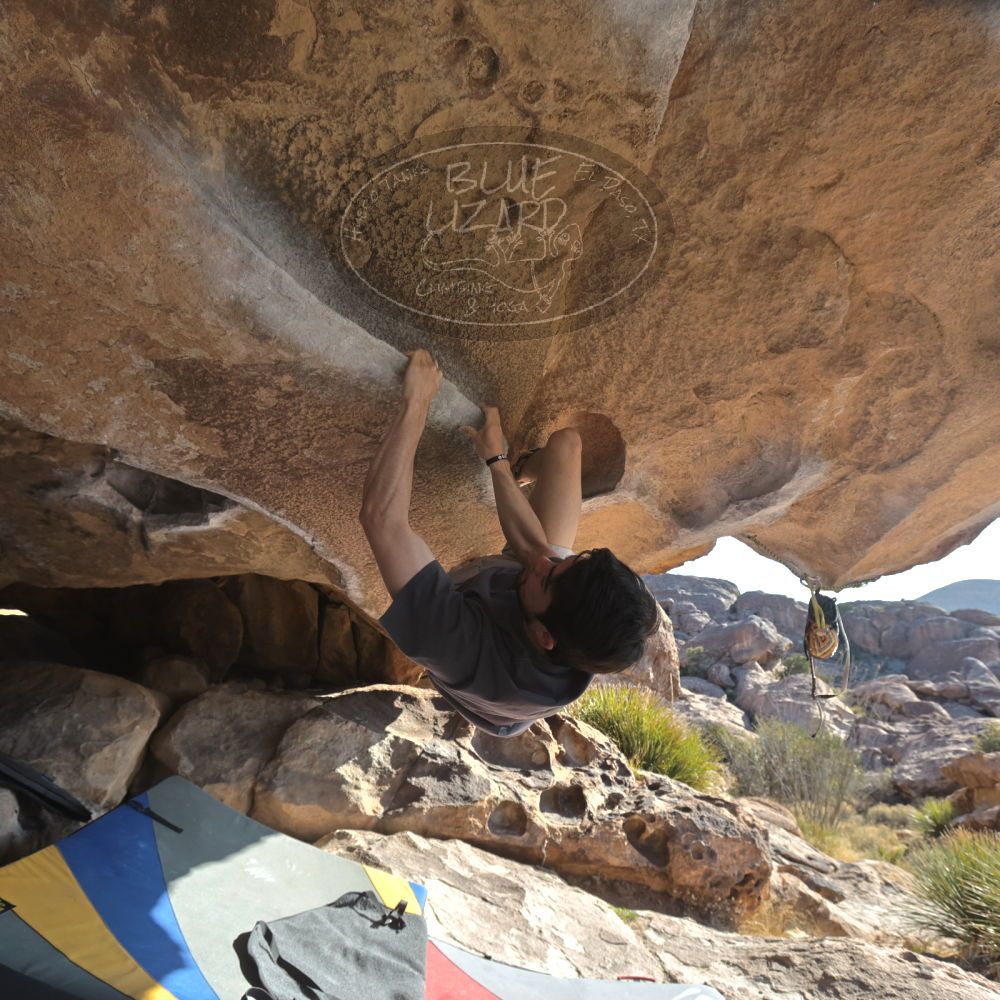 

Filename: SRM_20260308_0846590.jpg
Aperture: f/5.6
Shutter Speed: 1/500
Body: Canon EOS R6
Lens: Canon EF 16-35mm f/2.8 L